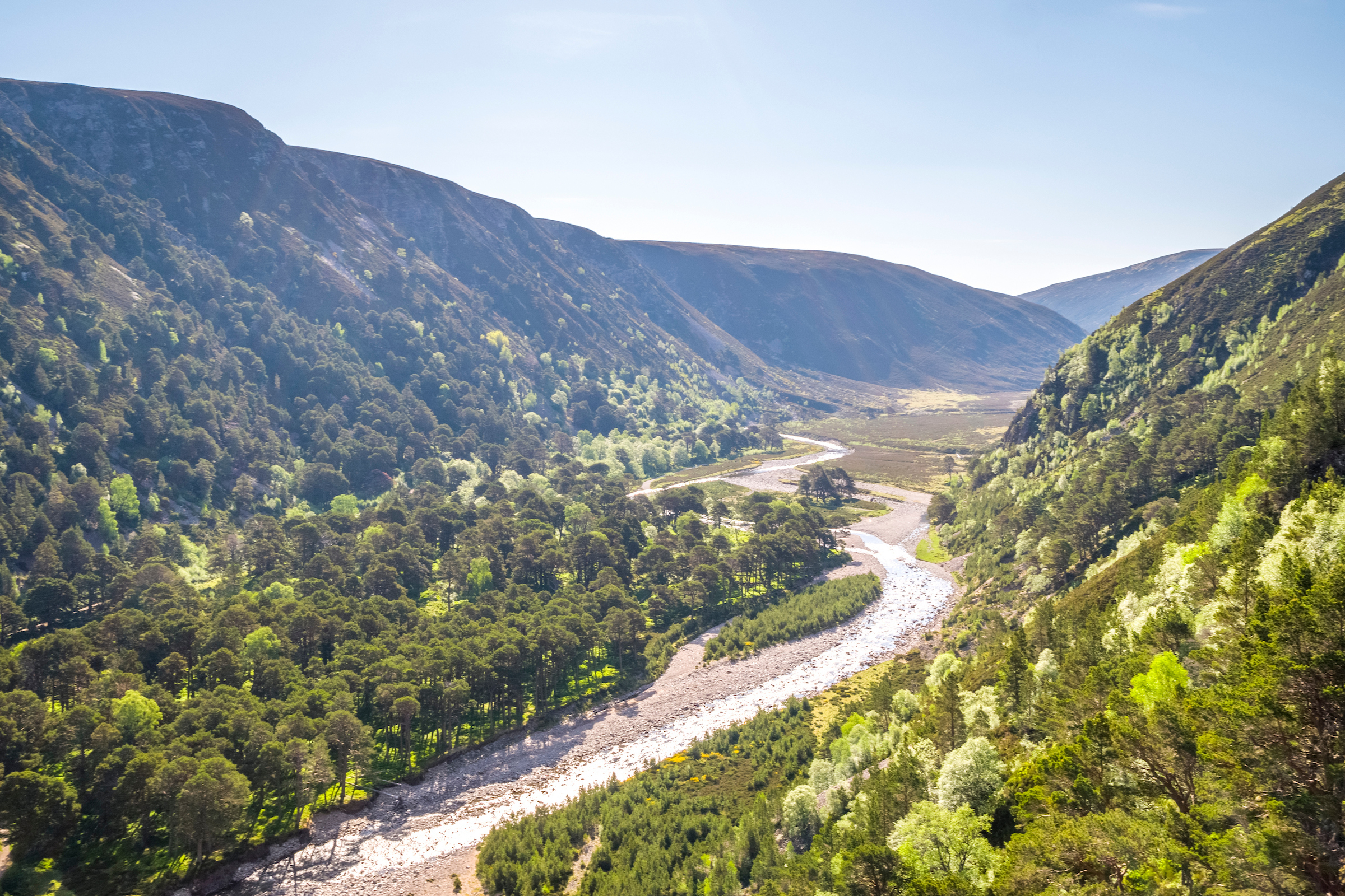 Make a regular or one-off donation to our work