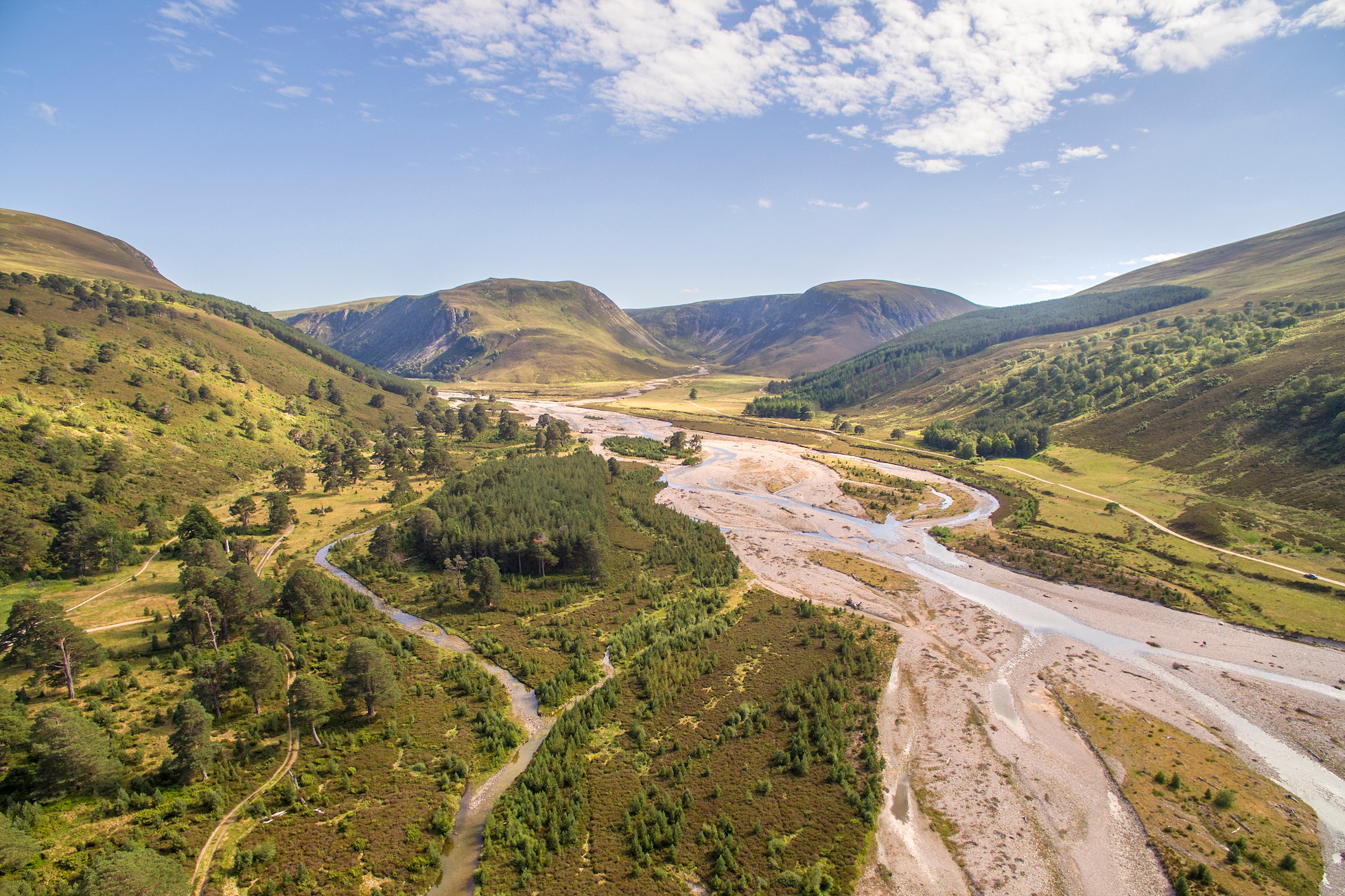 9 Ways to Rewild - Rewilding Retreat - Learn how to make rewilding happen 9 Ways to Rewild - Rewilding Retreat - Learn how to make rewilding happen