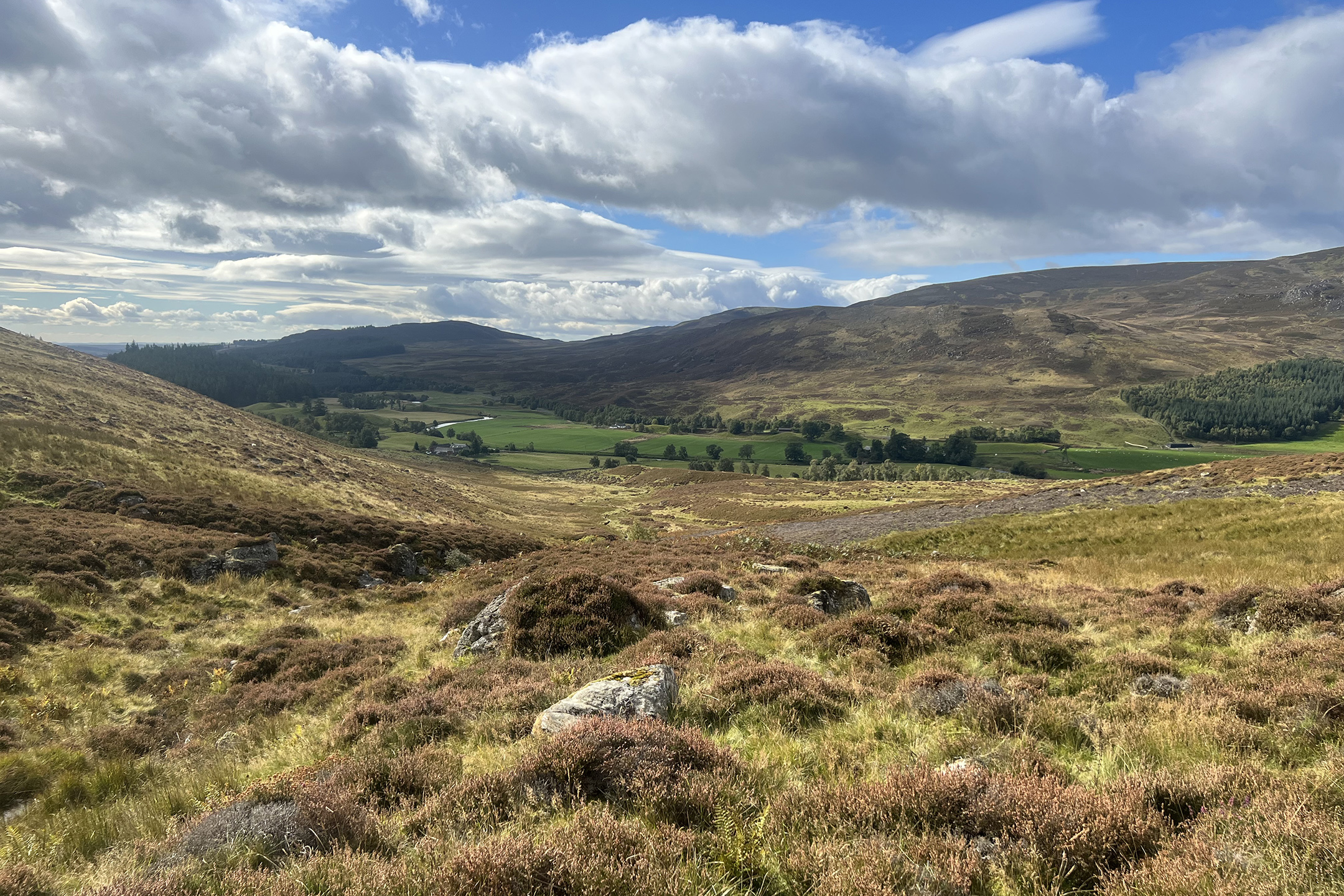 Northwoods partner: Broughdearg