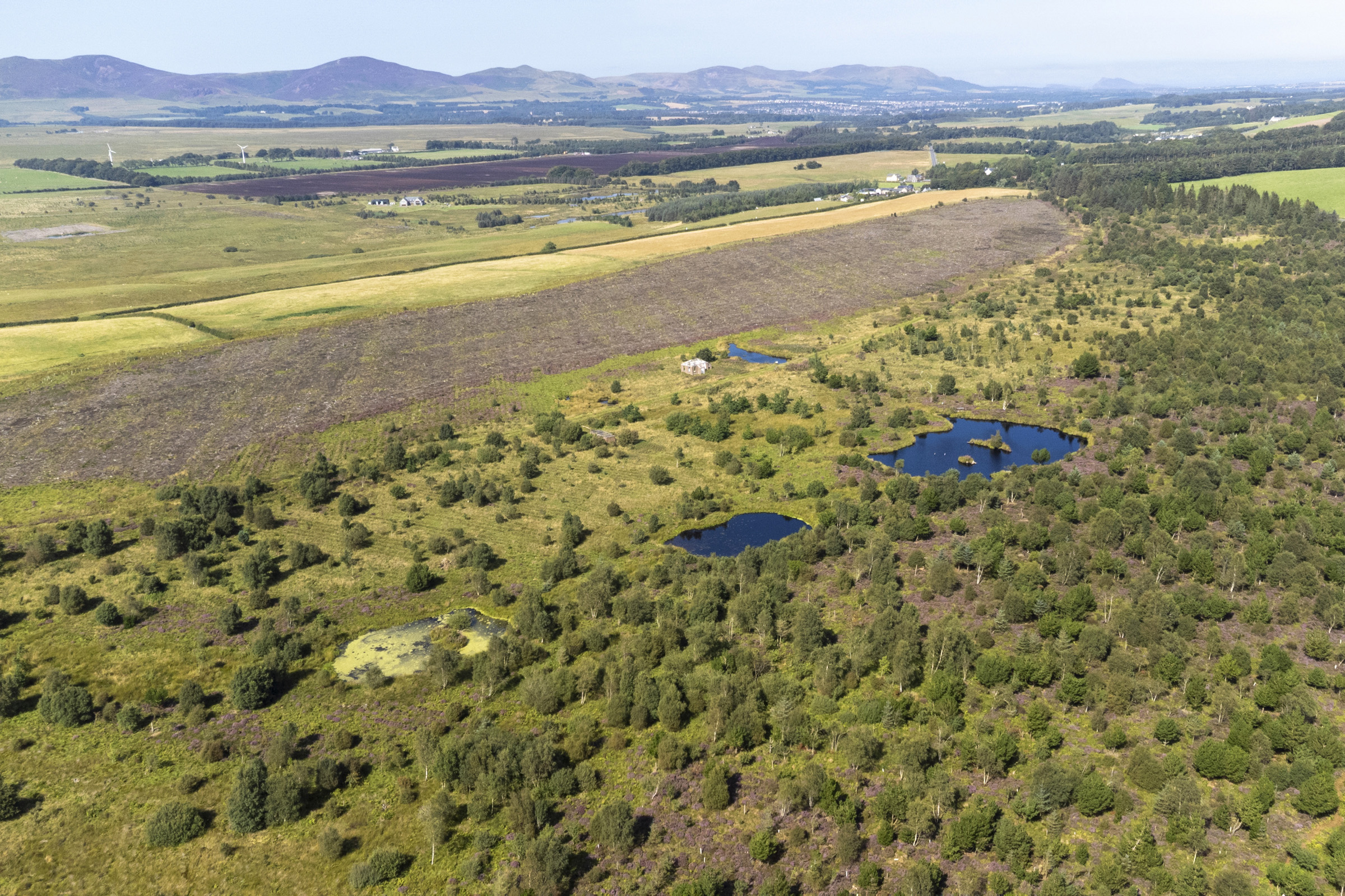 PARTNER PORTRAIT: LEADBURN COMMUNITY WOODLAND
