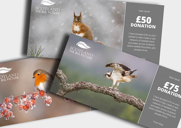 Donation certificates