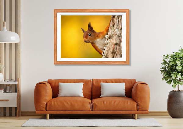 Art prints