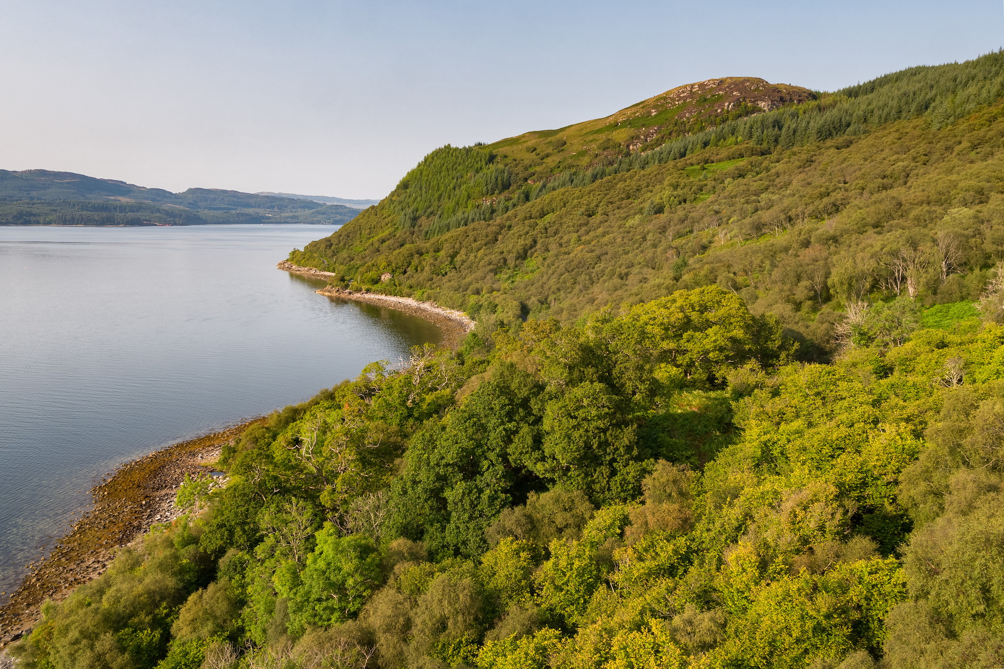 Argyll Explorer - Rewilding Retreat - An immersive weekend of rewilding on Argyll’s Secret Coast