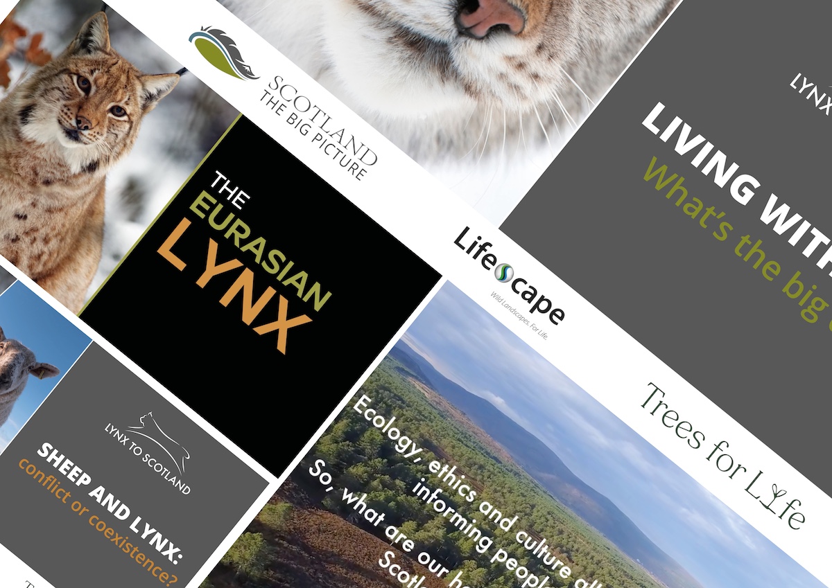 Lynx films and webinars