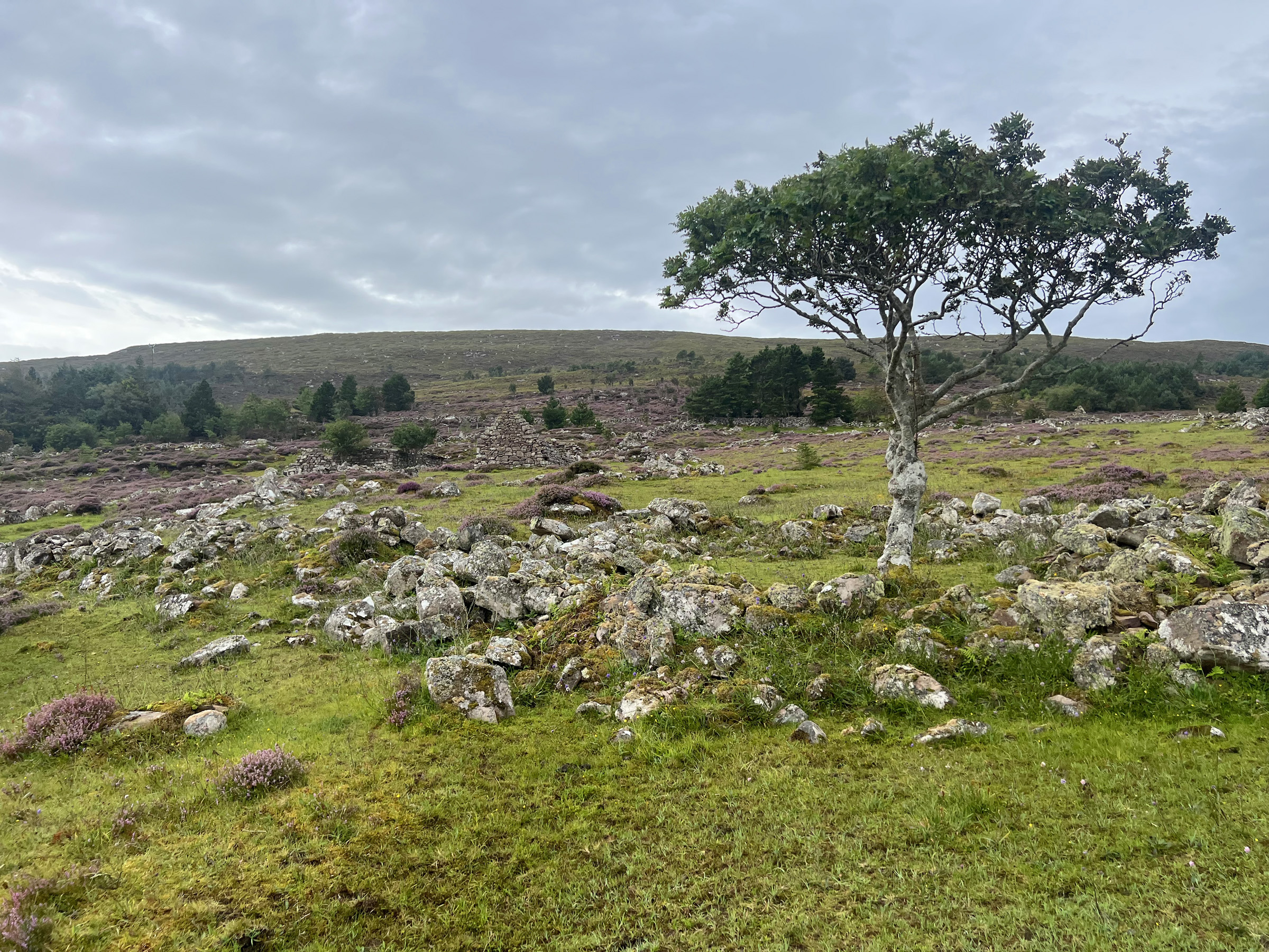 Northwoods partner: Tigh-an-Iar