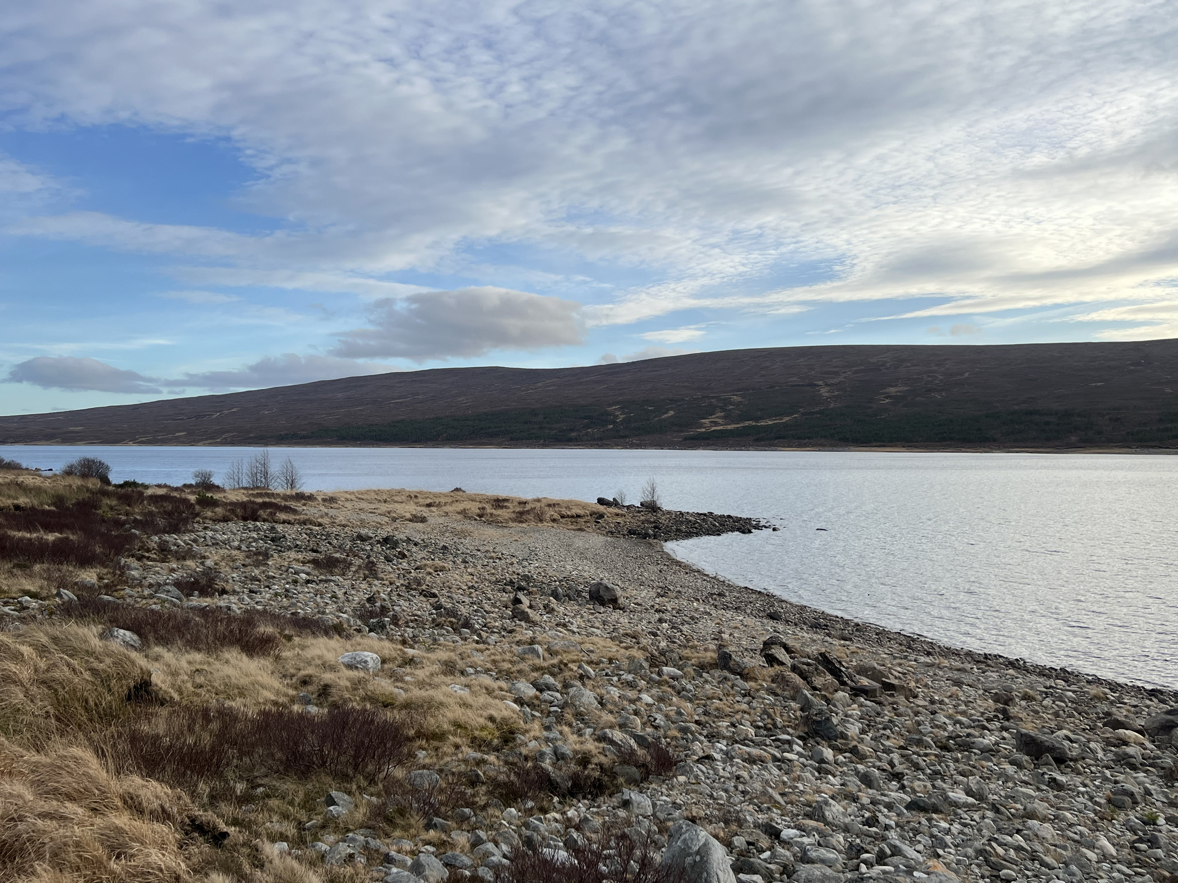 Northwoods partner: Carrachan