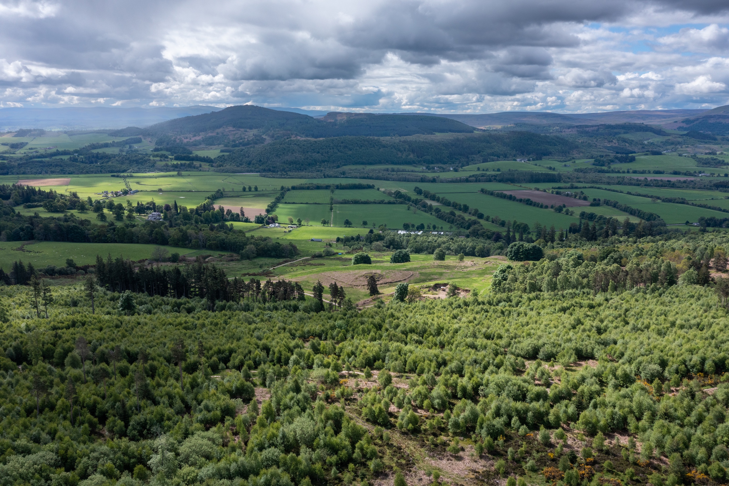 Image illustrating The Business of Nature