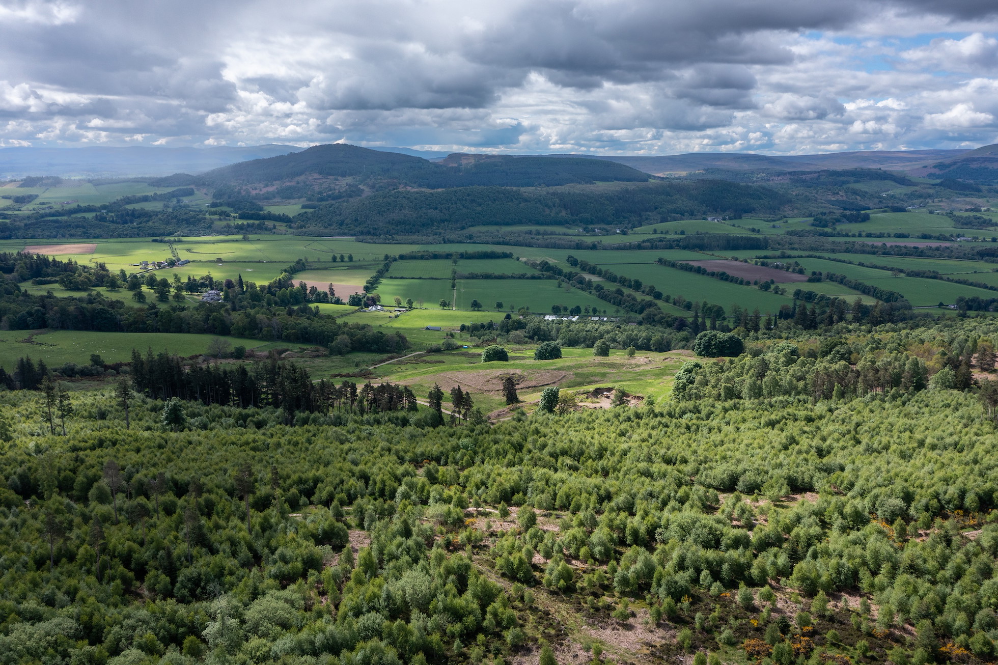 The Business of Nature - Rewilding Retreat - Understanding natural capital