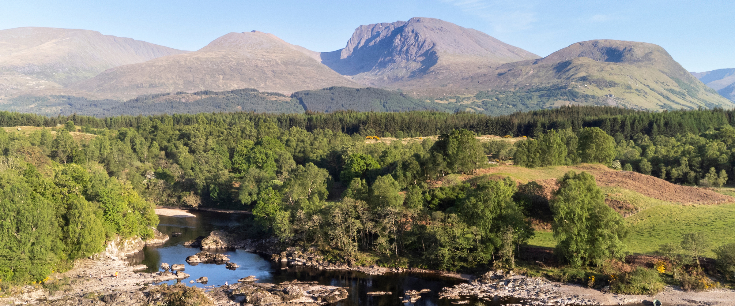 Northwoods partner: Torlundy Farm