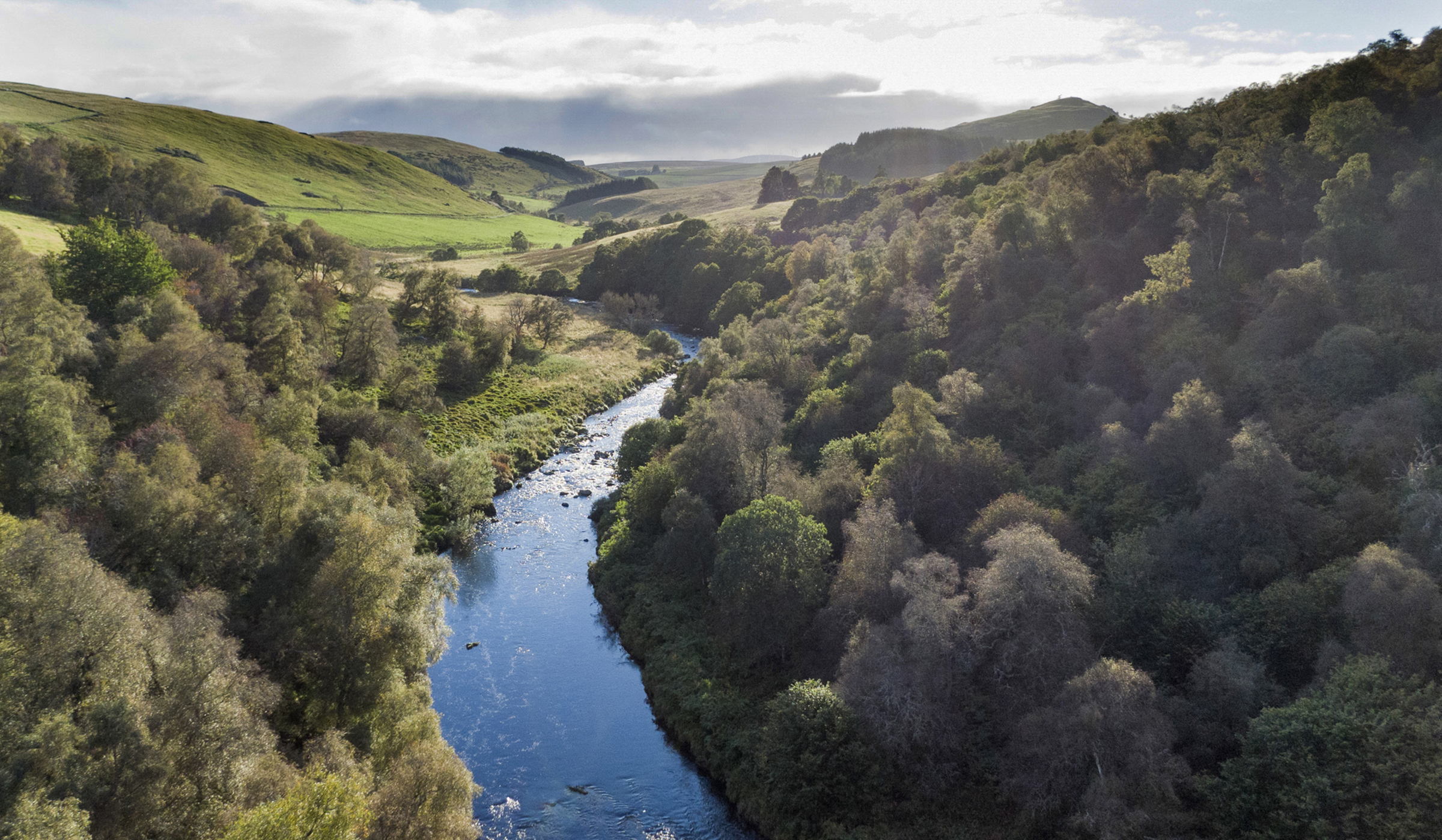 Northwoods partner: Deveron Wildland