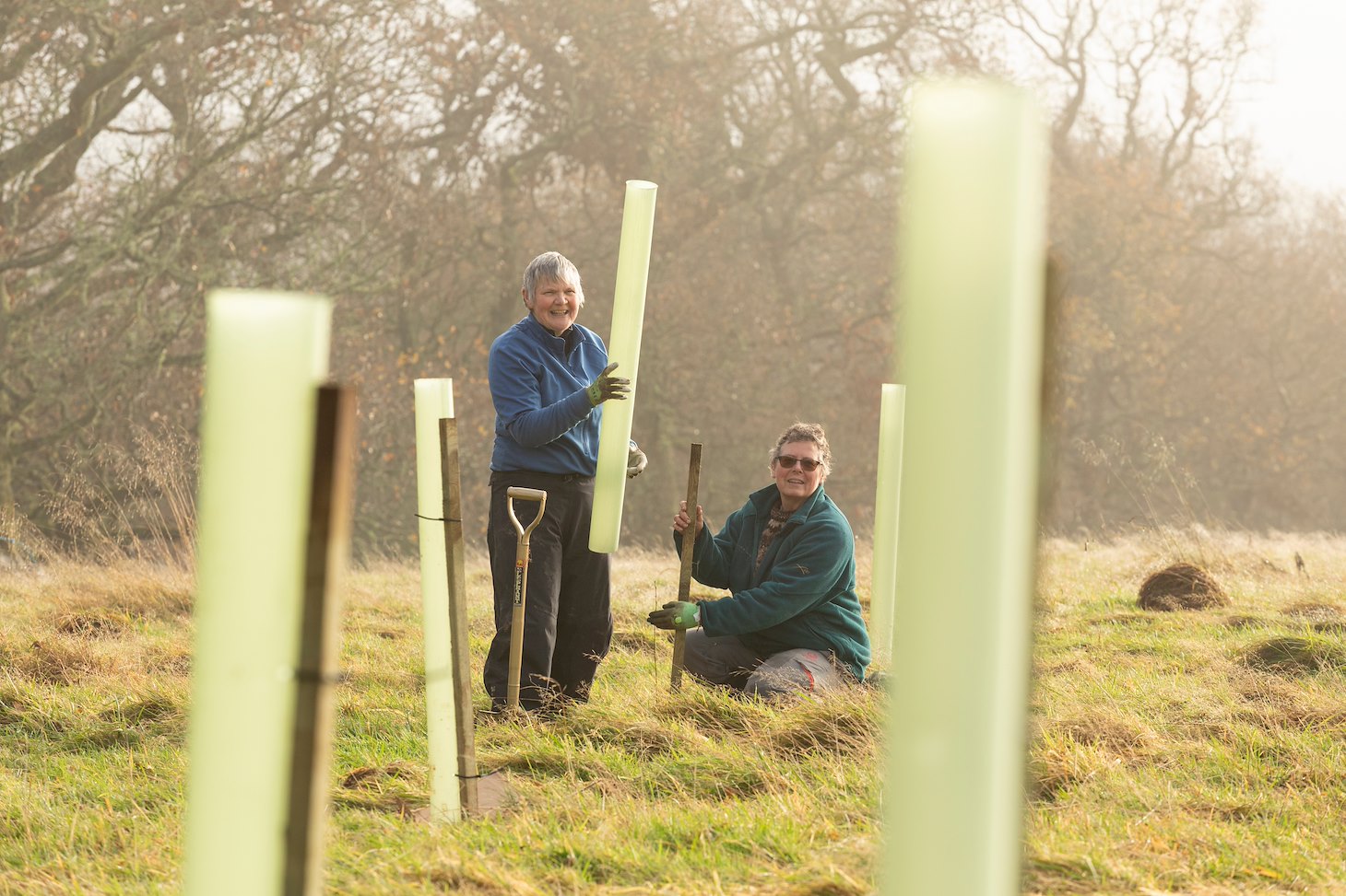 Volunteers planting native trees in protective gaurds at Sauchie Home Farm, Stirling, Scotland, December 2025