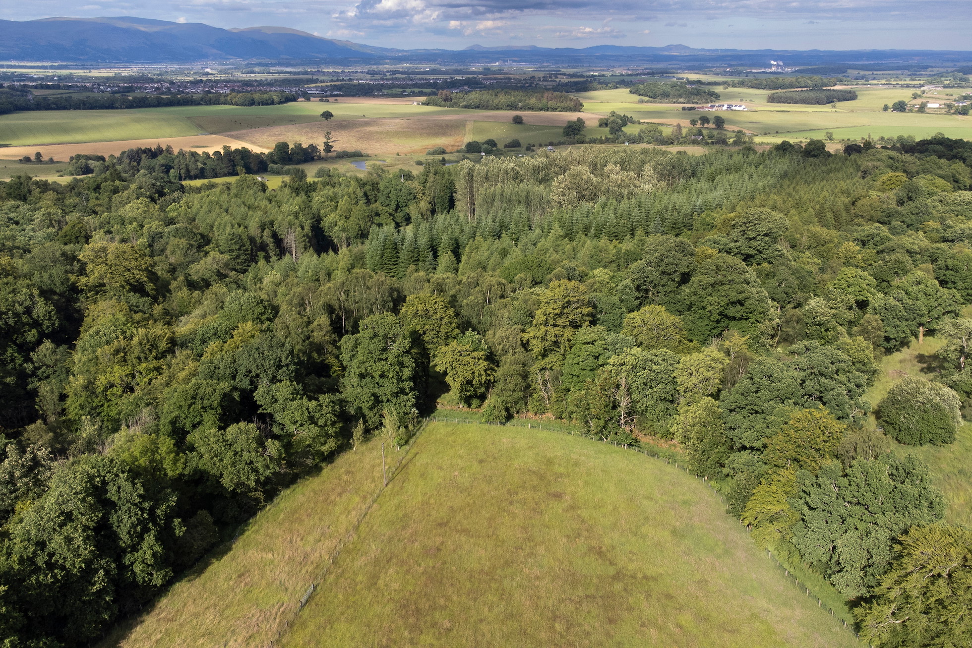 Aerial view of oak woodland and grassland, Sauchie Home Farm, near Stirling