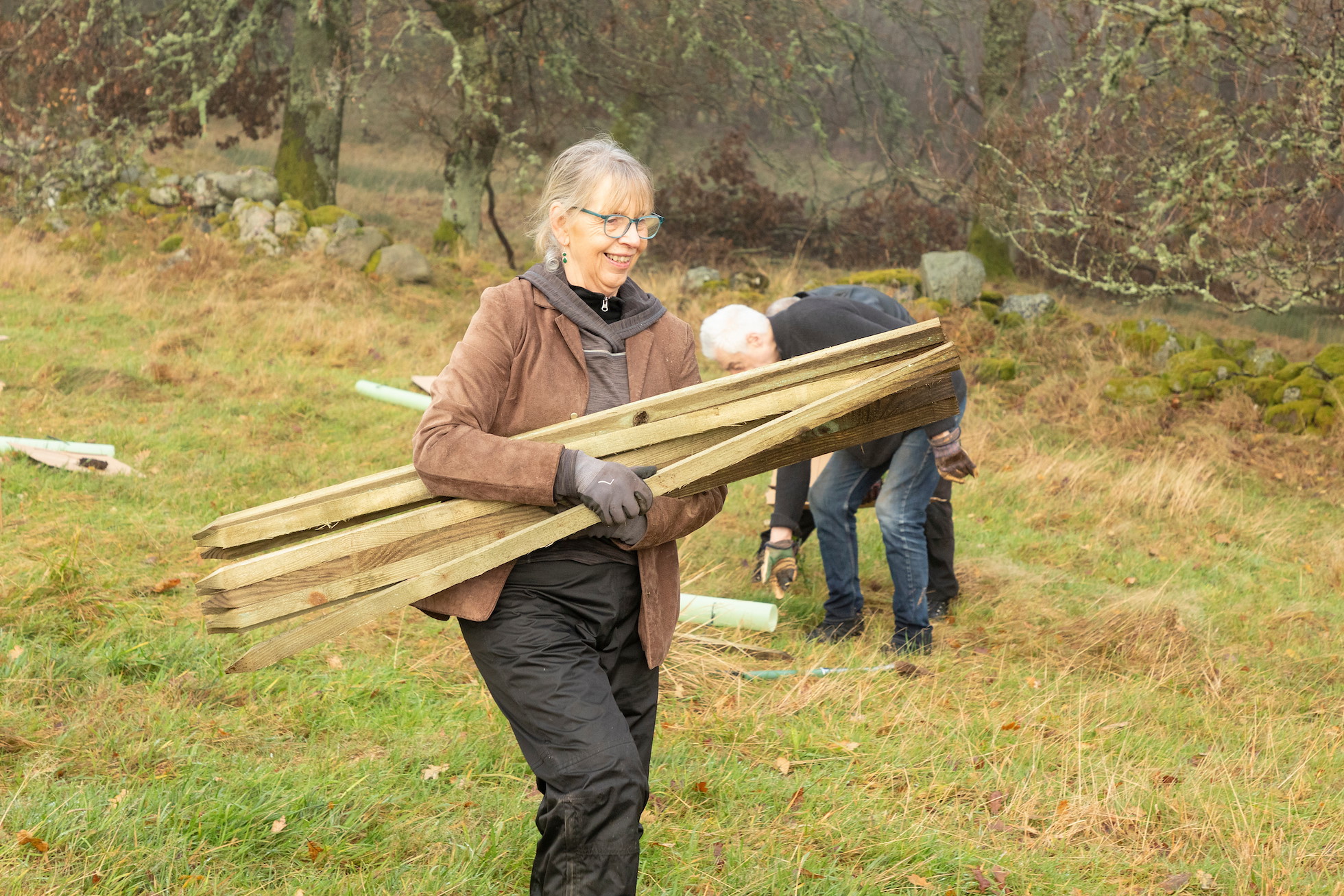 Val King carrying wooden tree stakes, Sauchie Home Farm, Stirling, Scotland, December 2025