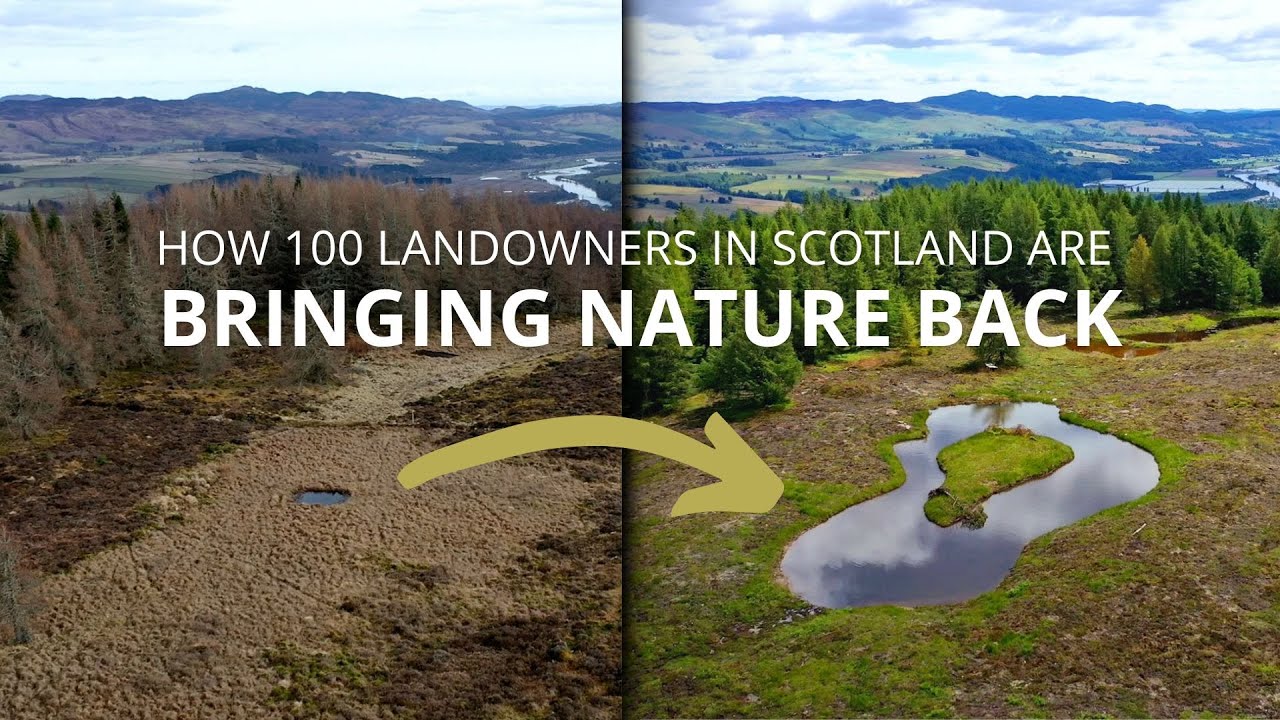 DISCOVER THE IMPACT OF OUR NORTHWOODS NETWORK
