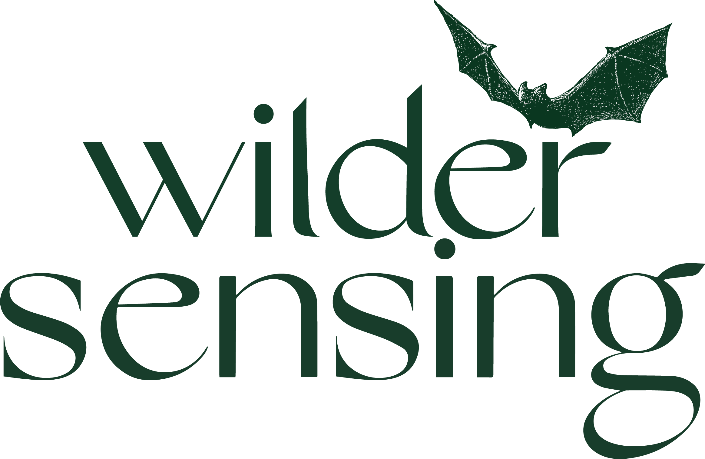 logo for Wilder Sensing