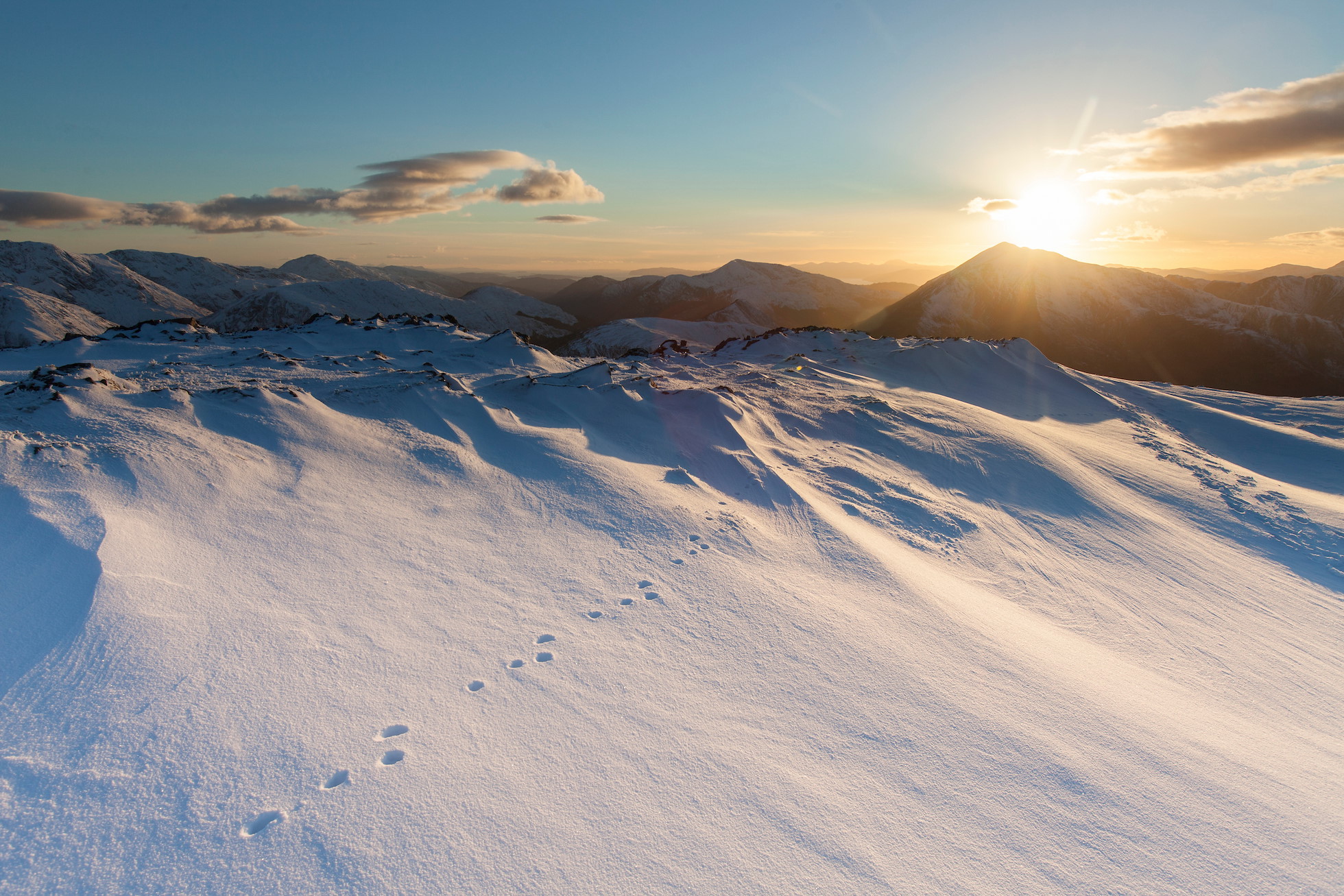 Mountain hare footprints in snow on mountain top in Glen Coe, Lochaber, Scotland