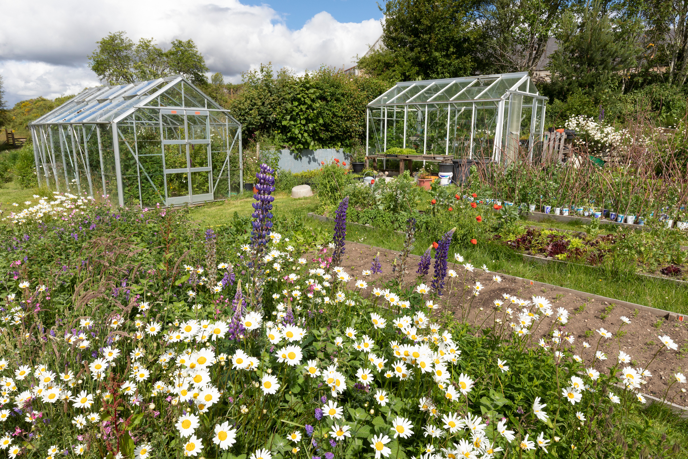 Rewilding Small Spaces Learning Day