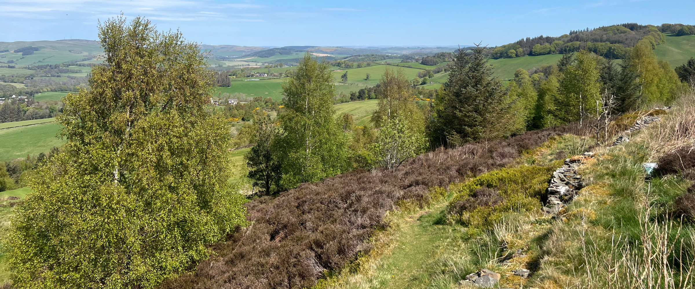 Northwoods partner: Selkirk Hill