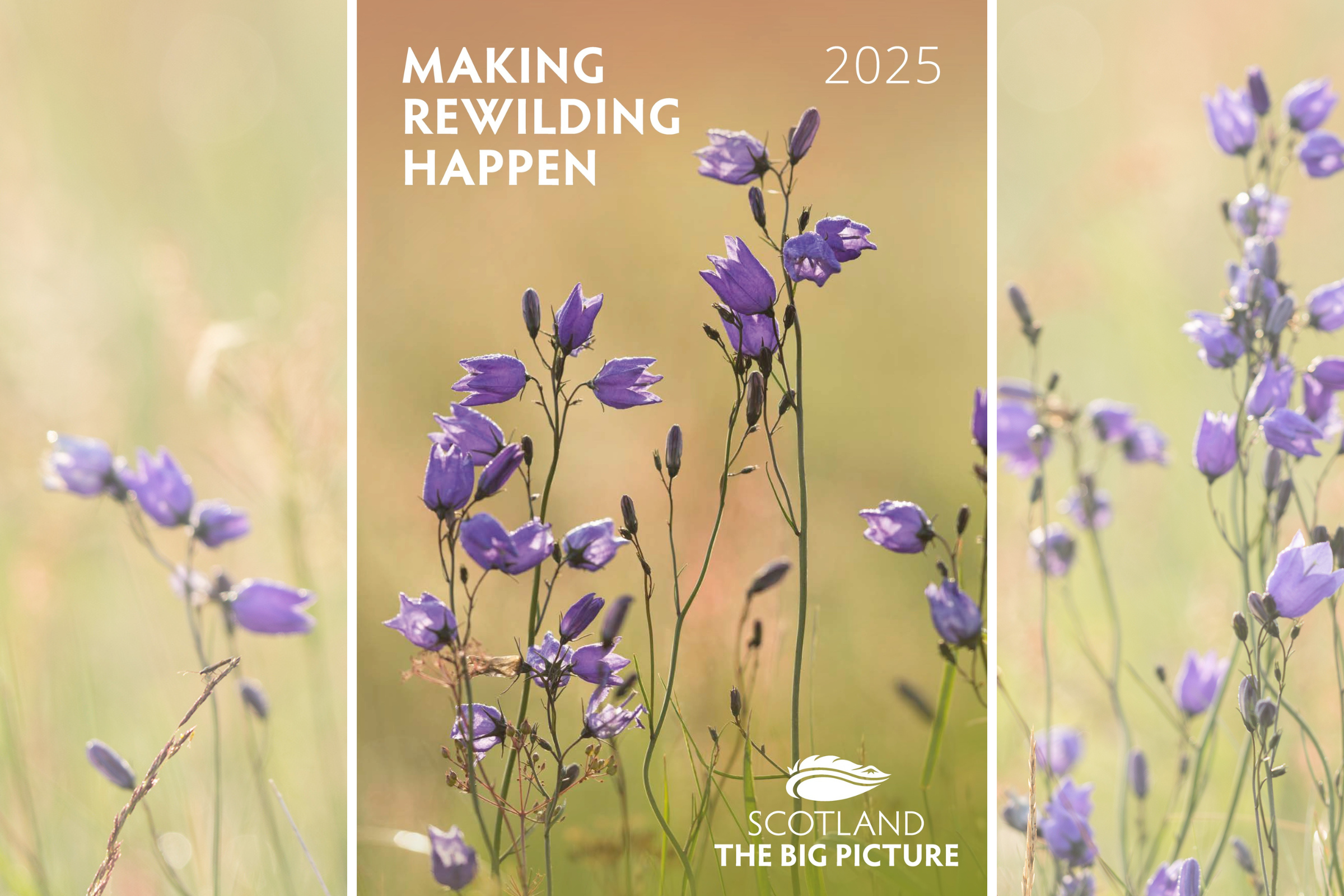 OUR IMPACT IN 2025