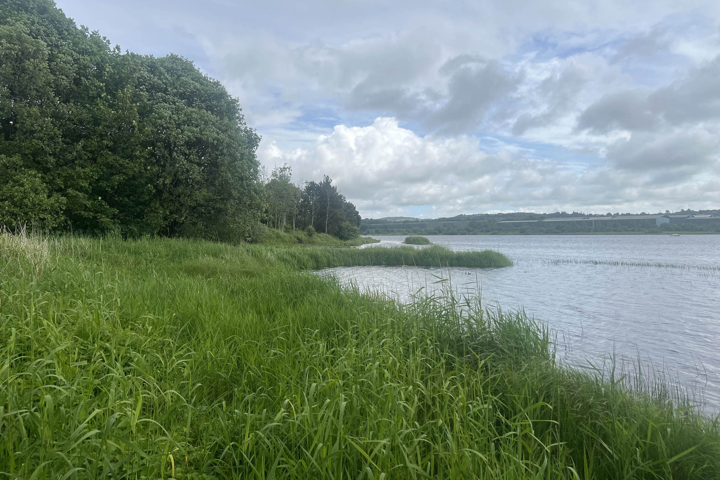 Northwoods partner: Lochshore Park
