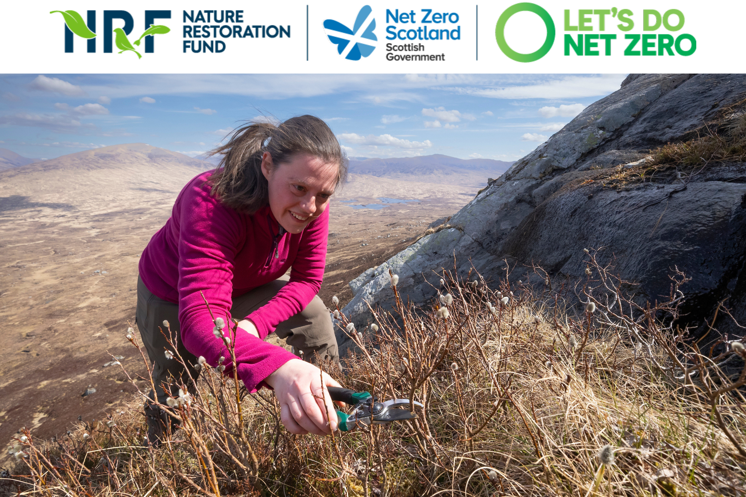 A bright future for Lochaber’s wee trees