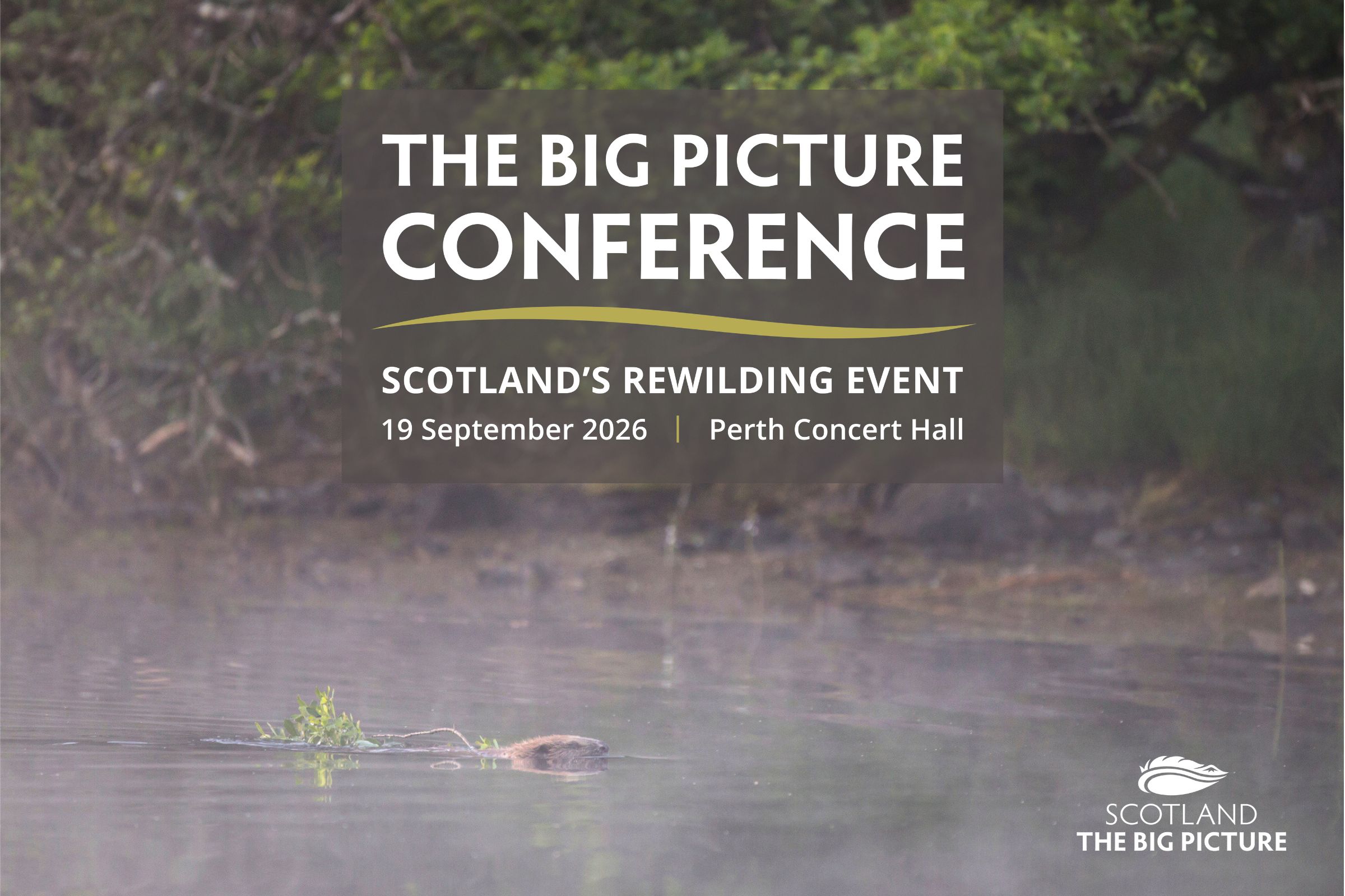 THE BIG PICTURE CONFERENCE 2026