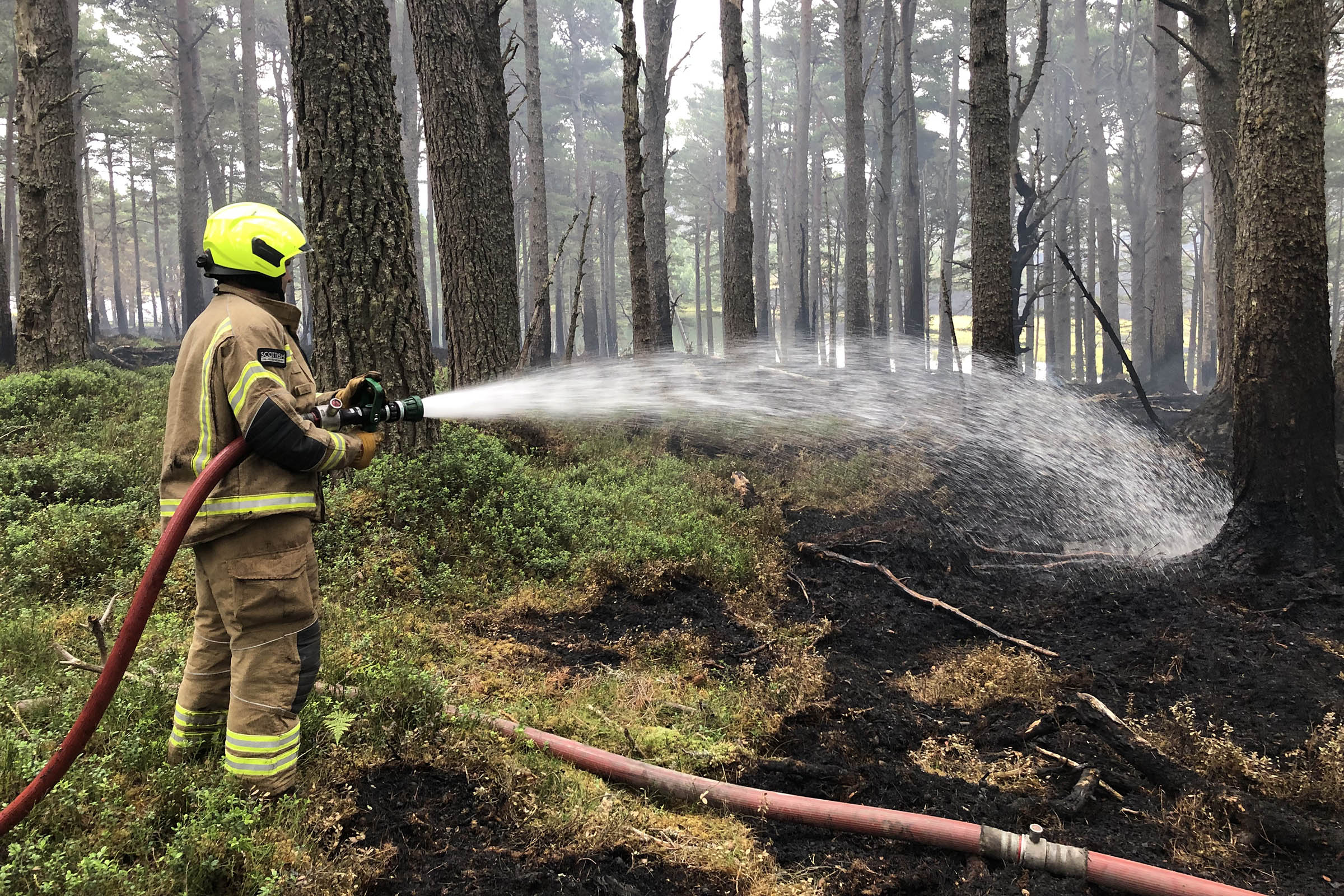 Wildfire: beyond the blame game
