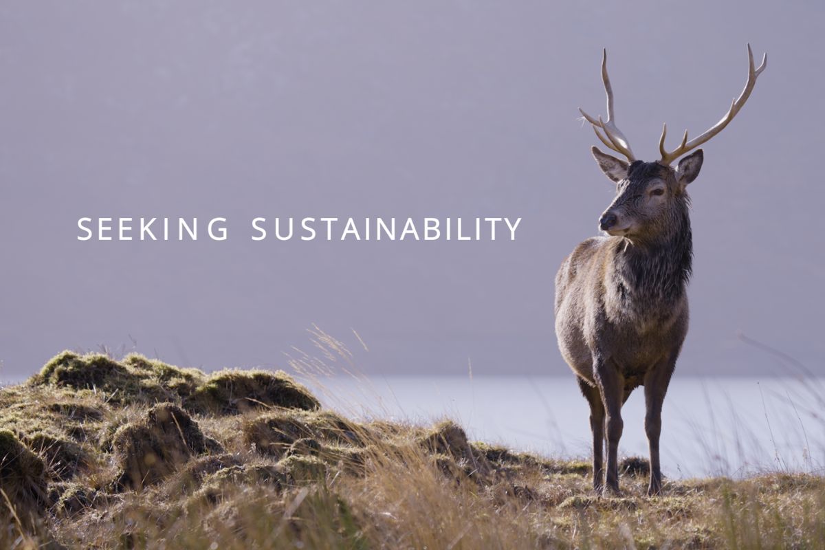 Seeking Sustainability