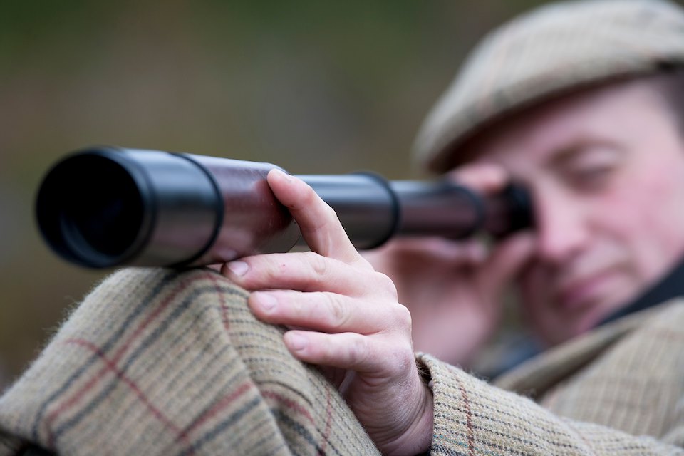 Hart of the matter – who pays for deer management? 