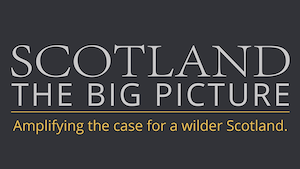 SCOTLAND: The Big Picture